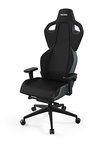 RECARO Exo Iron Grey | Ergonomischer, hochwertiger Gaming Stuhl | Mit stufenloser Einstellung über Handräder | Made in Germany | Auch als Bürostuhl | TÜV Zertifiziert